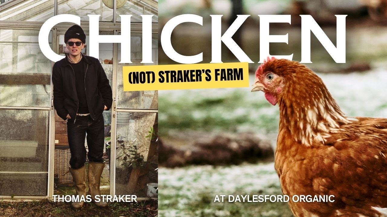 How Organic Chickens are reared, killed & cooked | (Not) Straker's Farm | January at Daylesford