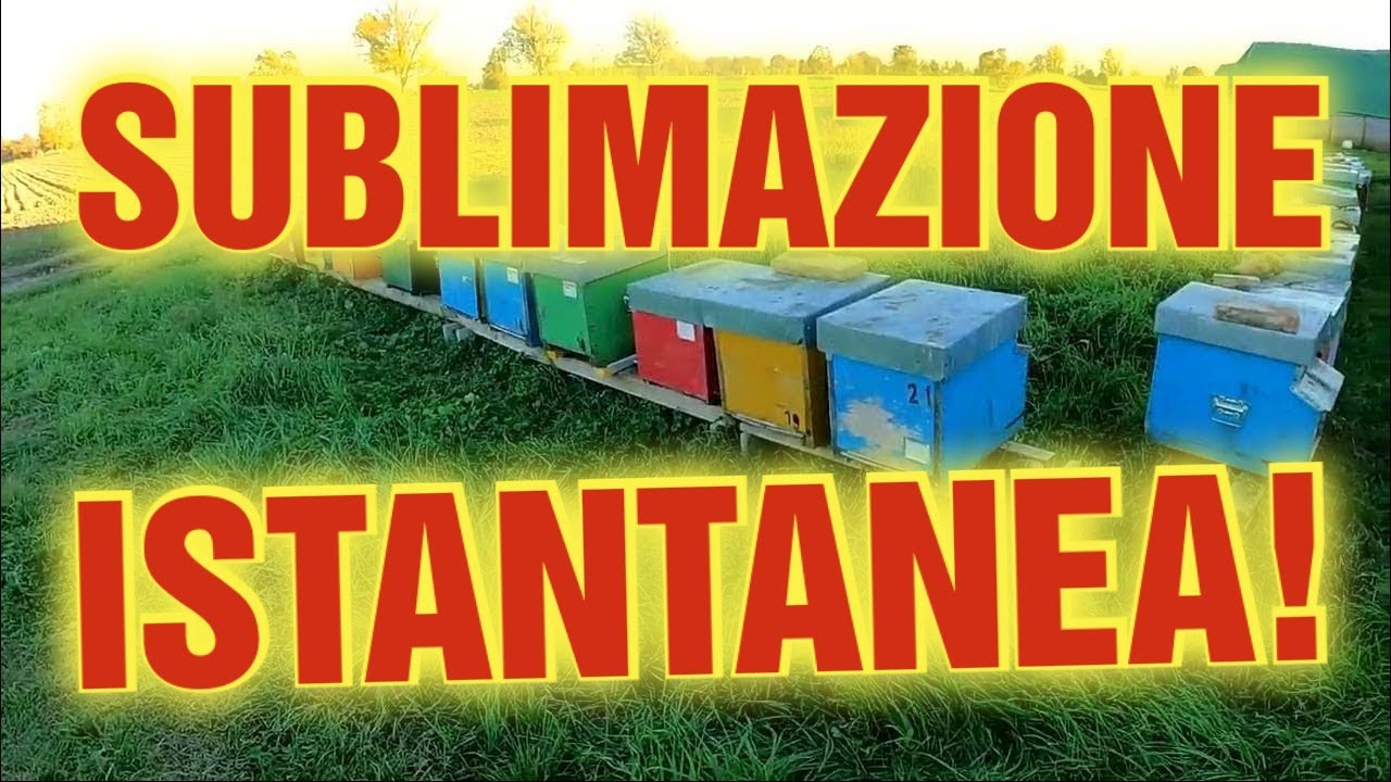 Apicoltura CD: Via con i sublimati. Prova istantvap sul campo