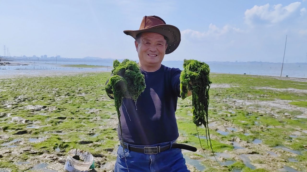 老媽懷念50年前的海味，阿胖山親自下海撈，秘制5天出鍋，真香