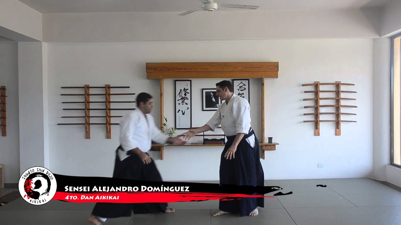 Katatetori gyaku hanmi Shihonage Omote