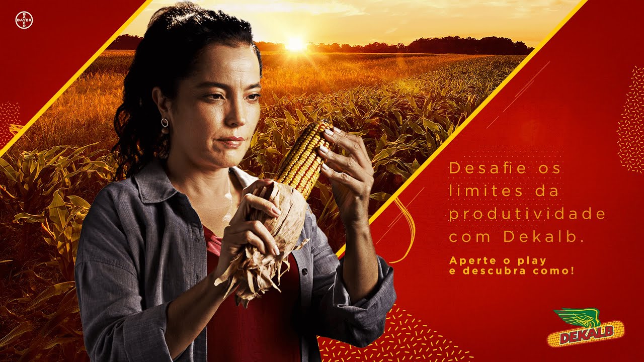Dekalb: Desafiando os limites da produtividade