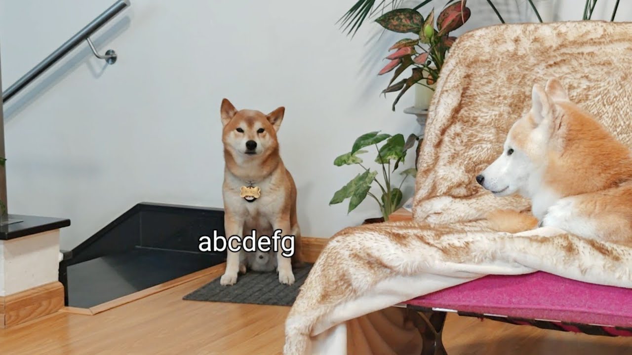 Поэт Широ возвращается