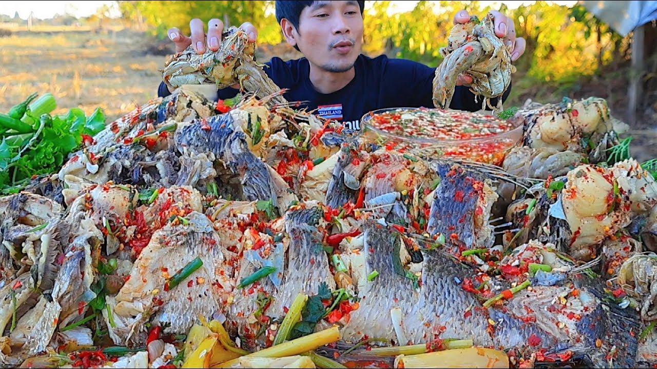 ต้มหัวปลาช่อนใหญ่จิ้มแจ่วพริกสดแซ่บคักอีหลีครับพี่น้อง ASMRMUKBANG EATING SHOW#โก้อีสานพาแดก 