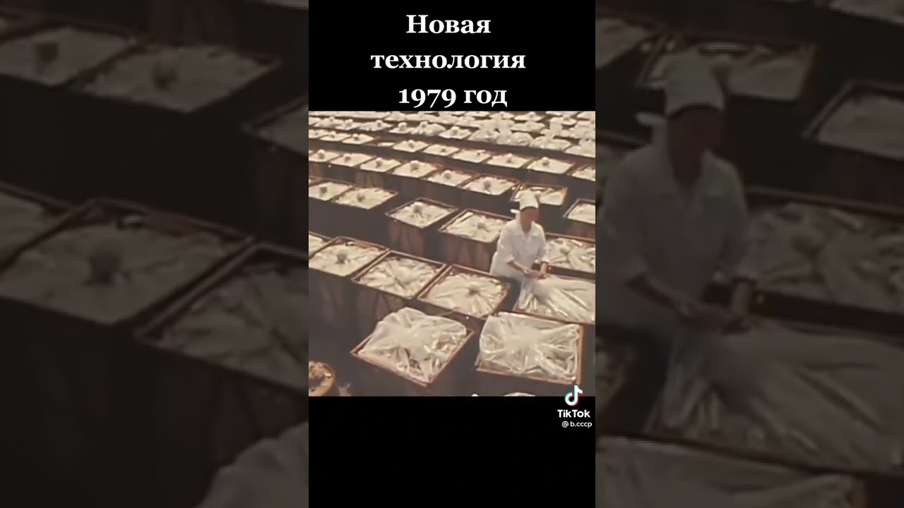 Соление огурцов