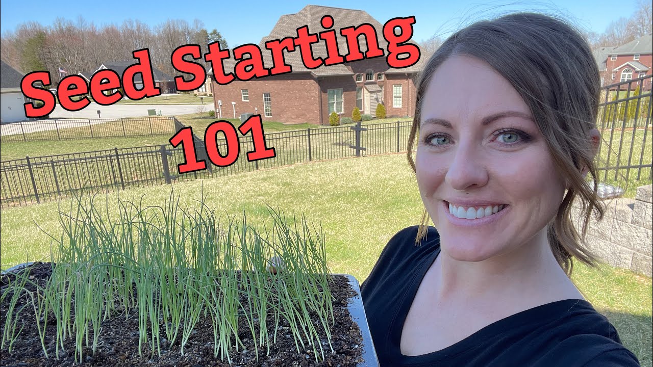 A Complete Guide to Seed Starting For Beginners | Gardening Tips & Advice | Seed Starting 101