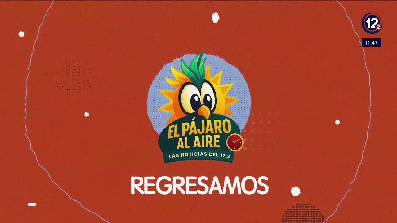 Emisión en directo de Quetzal Herrera -Pájaro-