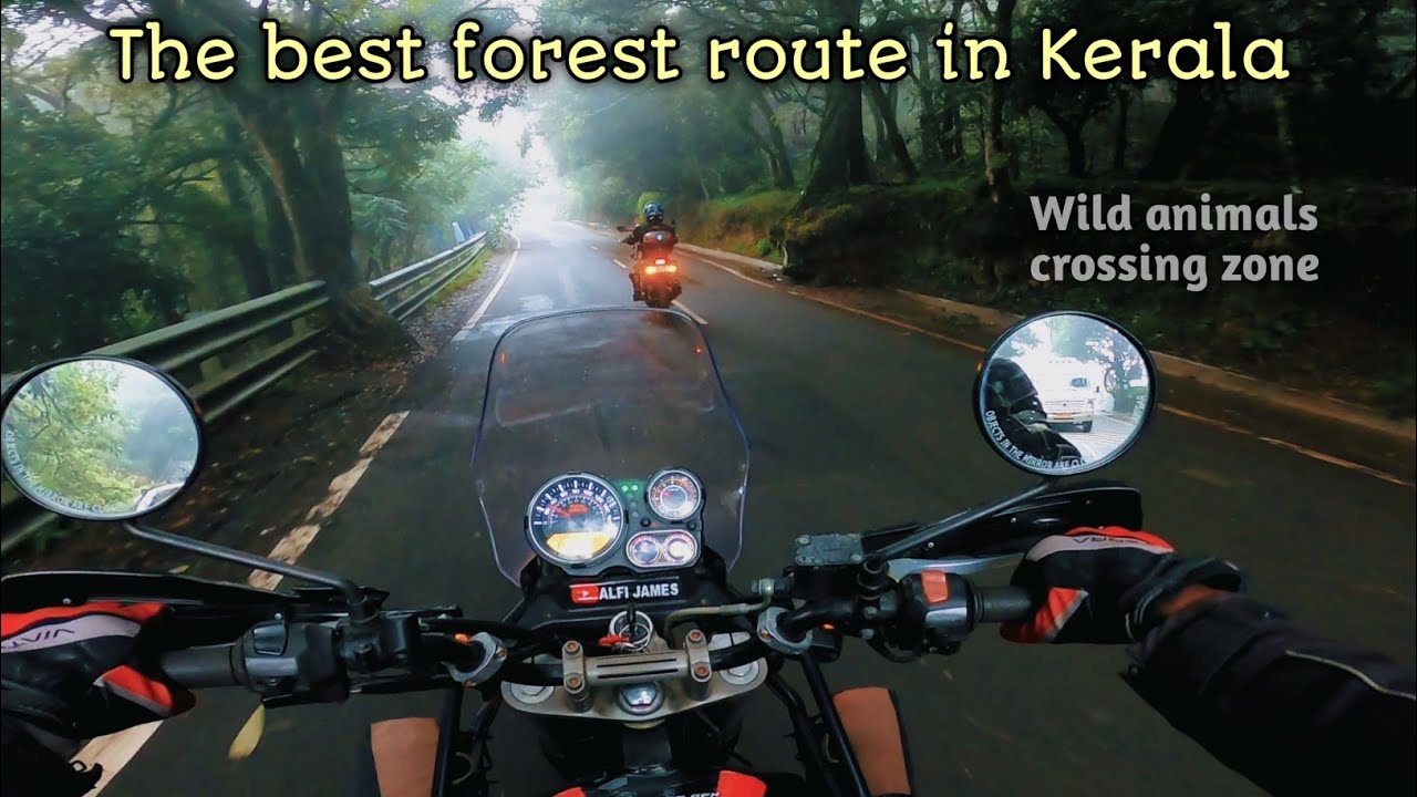 Nilambur to Ooty route - ഒറ്റ ദിവസം കൊണ്ട് ഇത്രയും സ്ഥലങ്ങൾ കാണാൻ പറ്റിയ ഫോറെസ്റ്റ് റൂട്ട് വേറെ ഇല്ല
