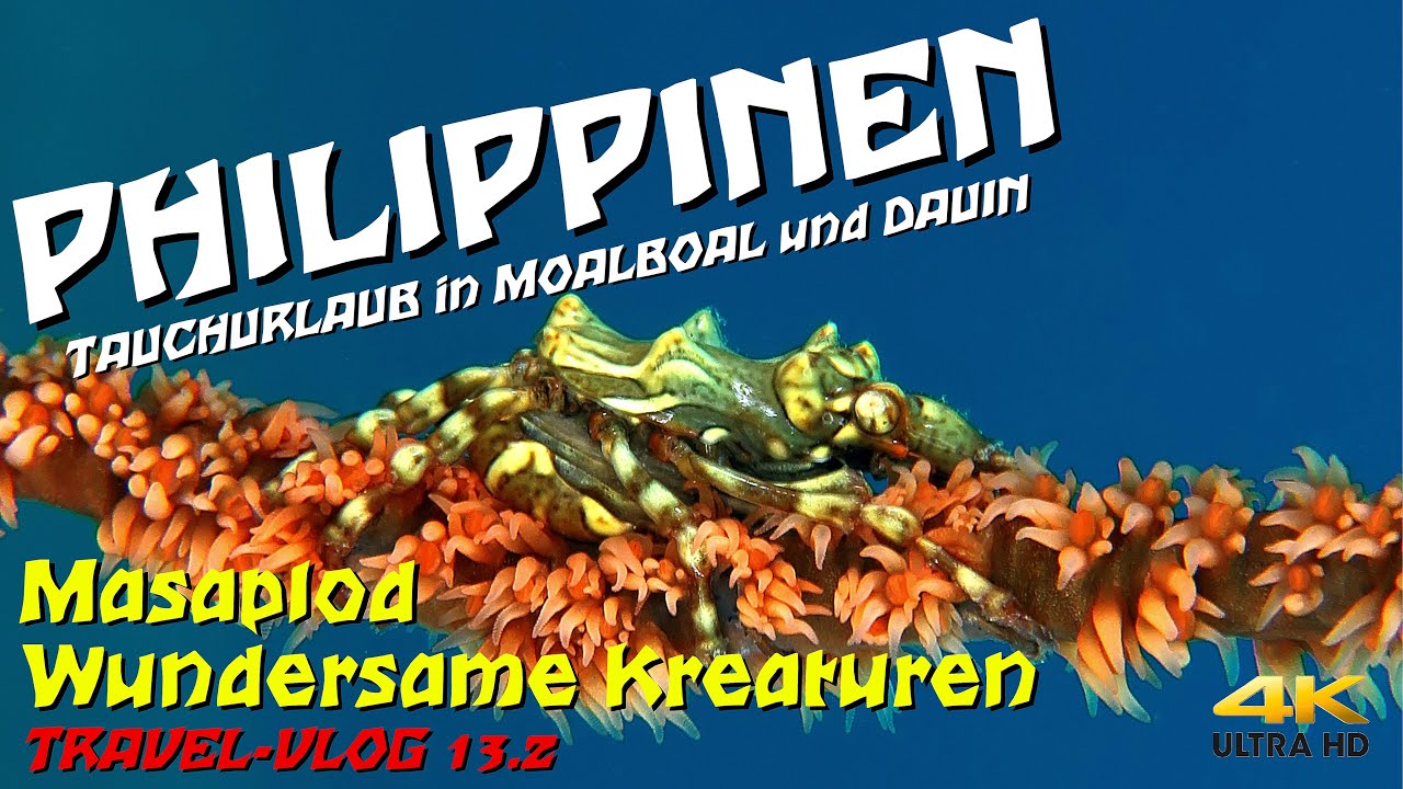 Tauchen PHILIPPINEN - Masaplod 