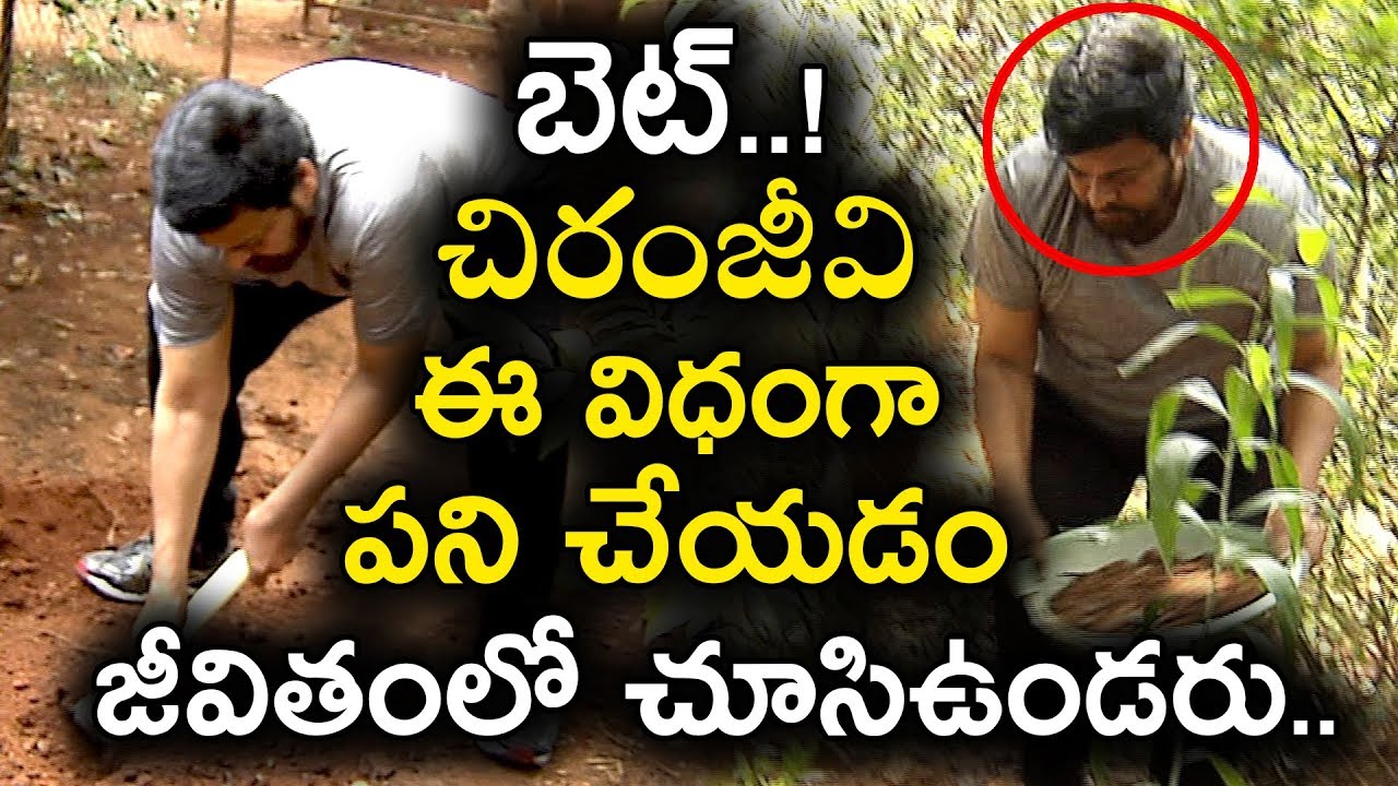 Chiranjeevi Planting Trees | Megastar Challenge to Powerstar | Haritha Haram | #greenchallenge