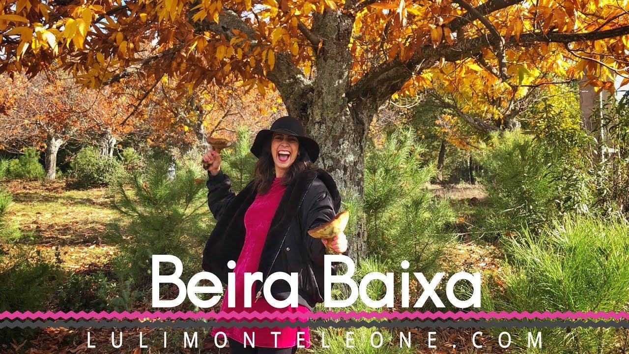 Termas de Monfortinho e os cogumelos da Beira Baixa! 🍄