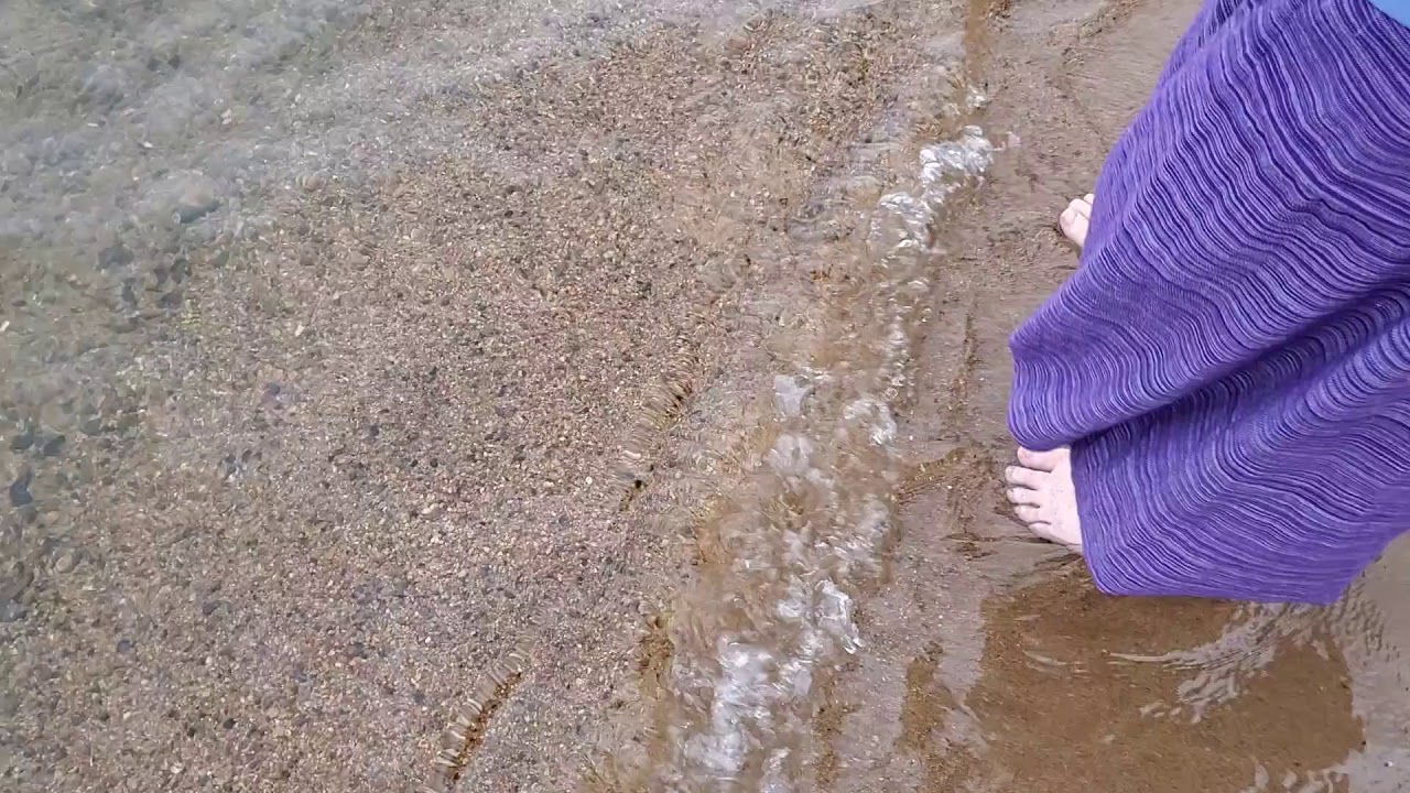琵琶湖　藤ケ崎龍神社