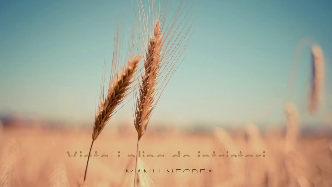 Manu Negrea - Viata-i plina de intristari
