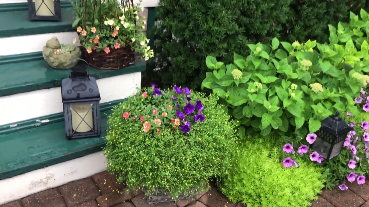 Overcast Update and Front Garden Walk ☔️// How's It Growing?