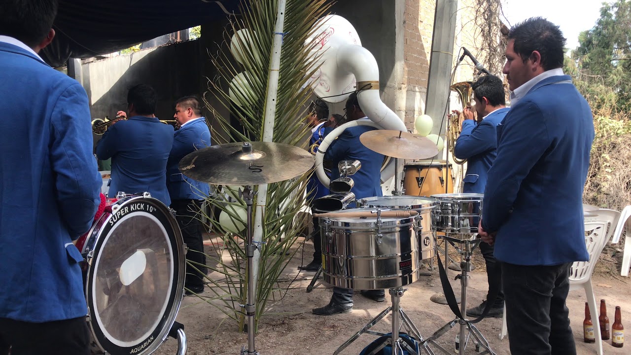Gabino barrera banda amigos en vivo