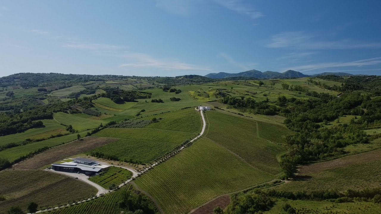 Cura, passione, rispetto per la terra ed una meravigliosa cantina dell'Irpinia. |Vini Fonzone