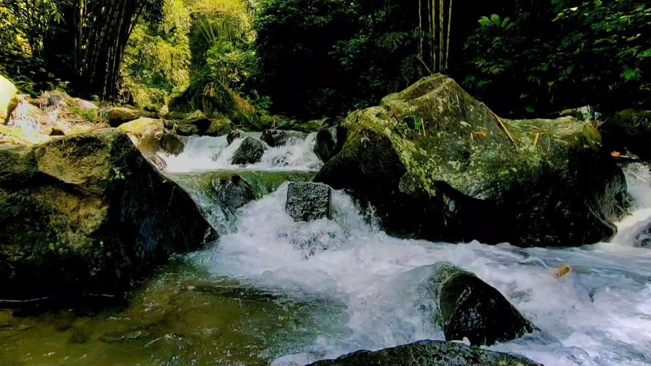 Soothing River Water Noise  Sleep Fast & Stay Asleep