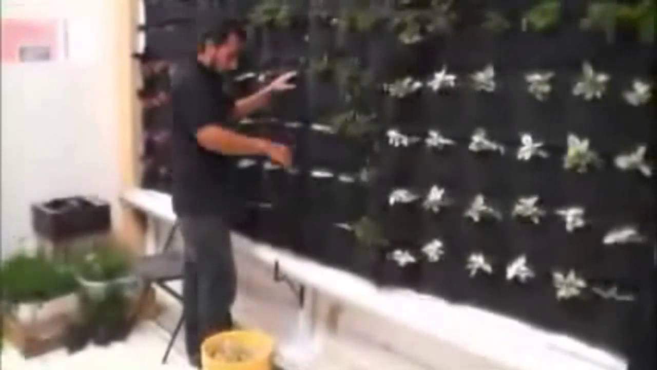 Elaboraci&oacute;n de Pared Verde