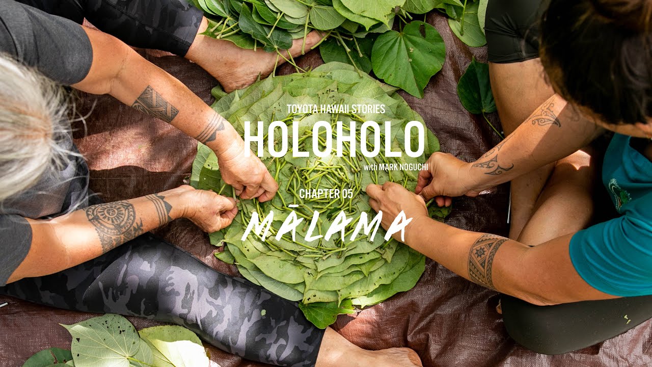 Holoholo with Mark Noguchi - Chapter 5 