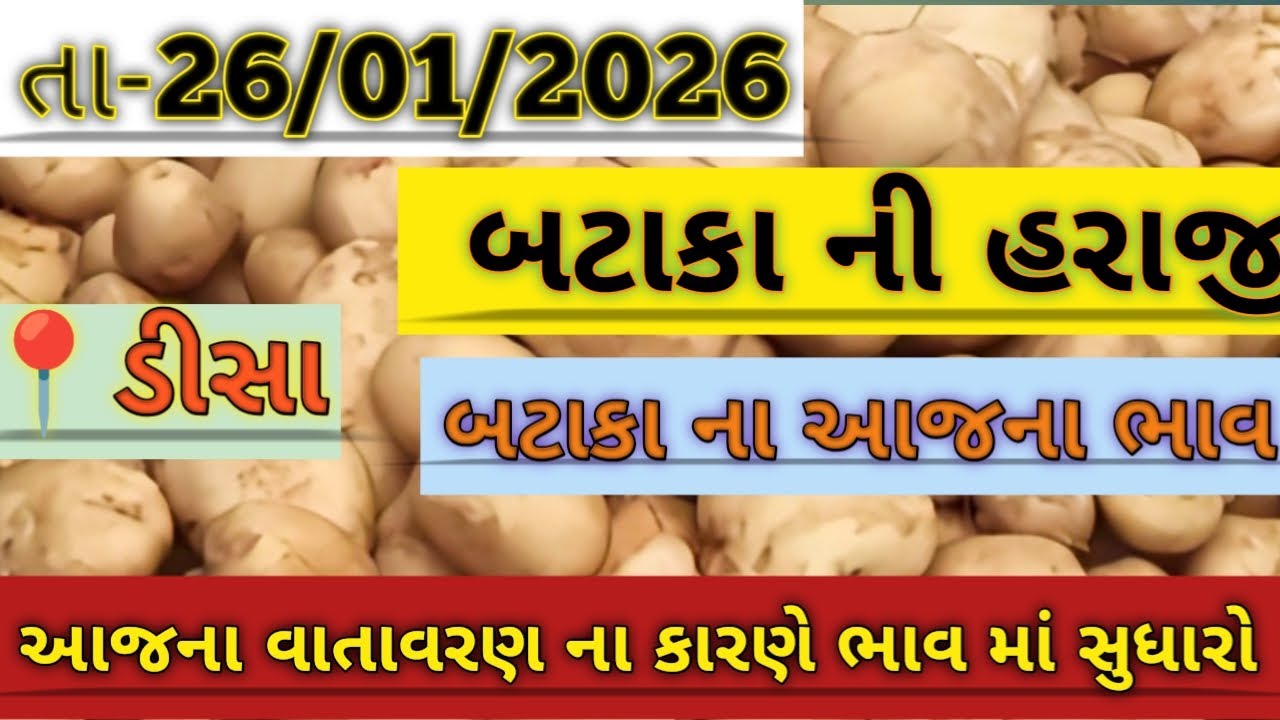 બટાકા ની હરાજી //deesa bataka ni haraji #deesa #potato #aalu #aalumadoluma #farming #explorepage 