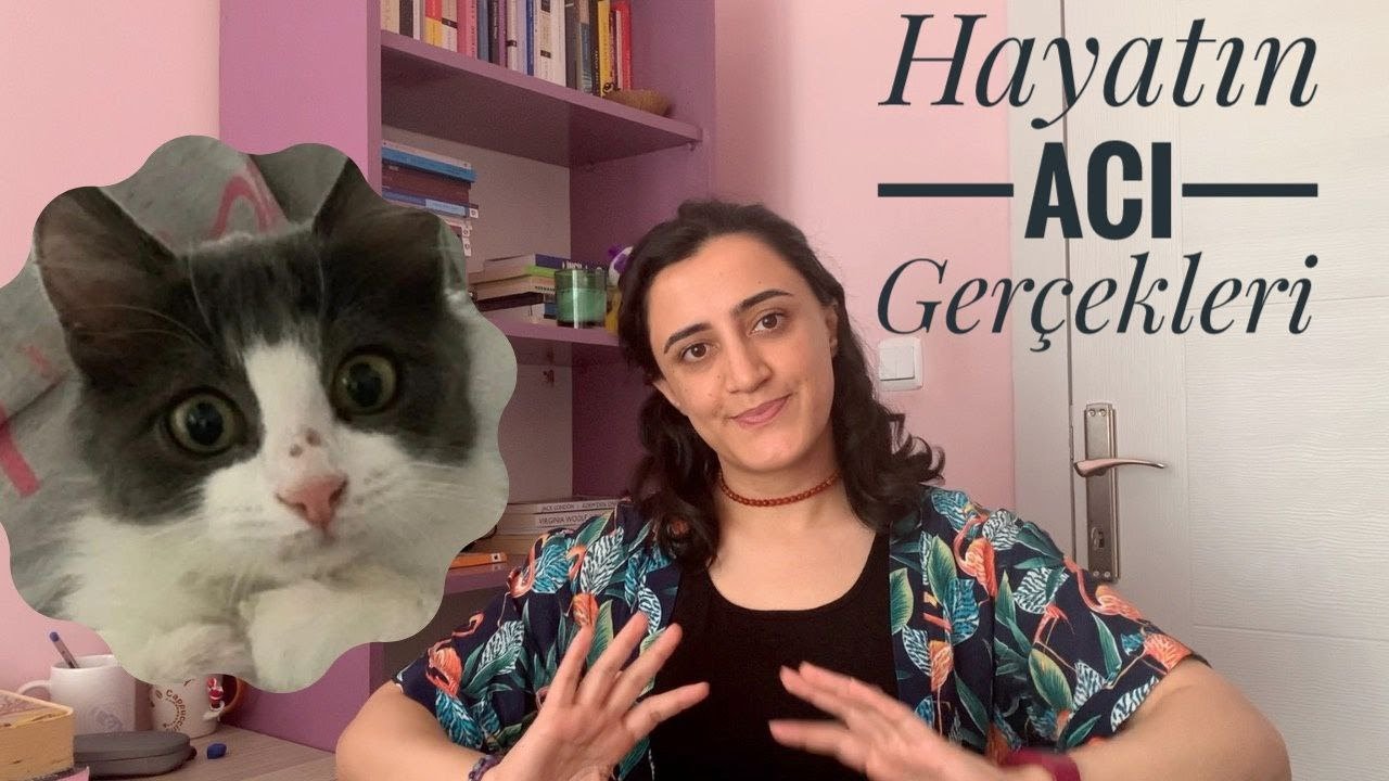 Kedimiz FIP Hastası Oldu 😔