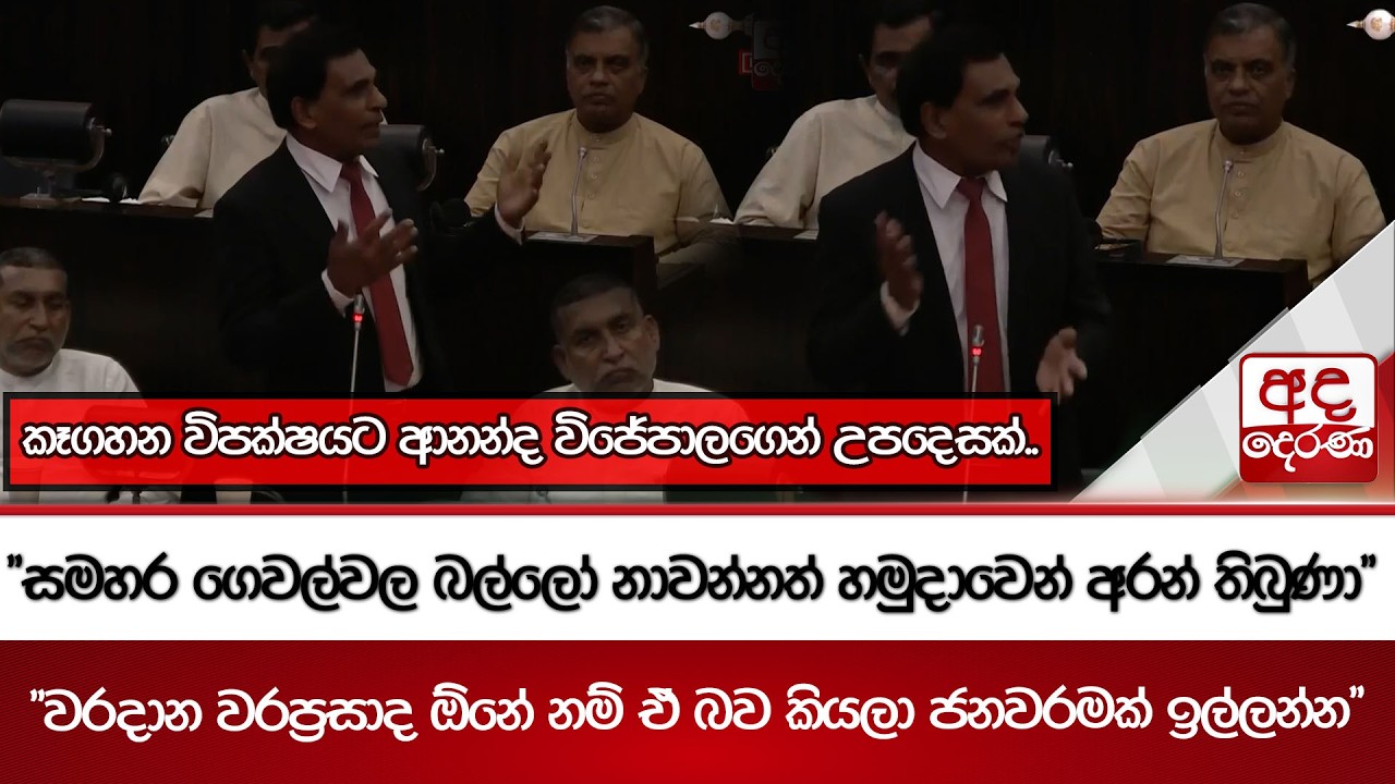 කෑගහන විපක්ෂයට ආනන්ද විජේපාලගෙන් උපදෙසක්..