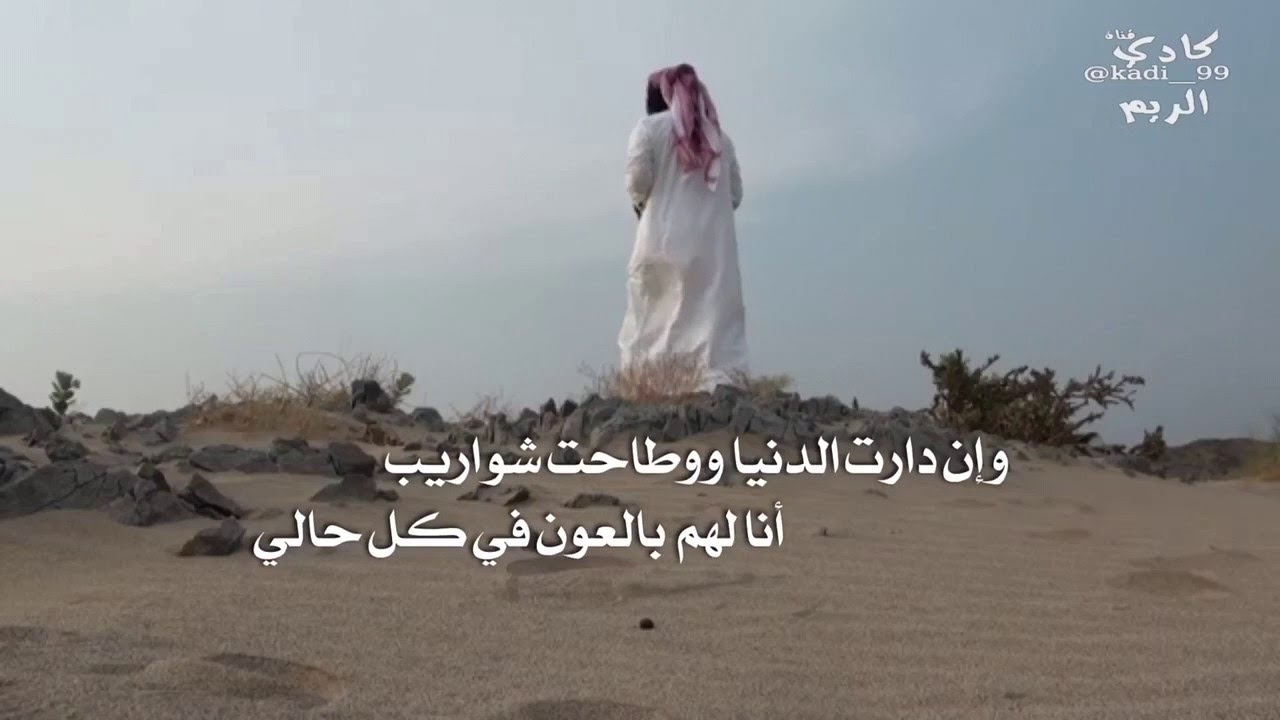 نايف راضي الشيب 2