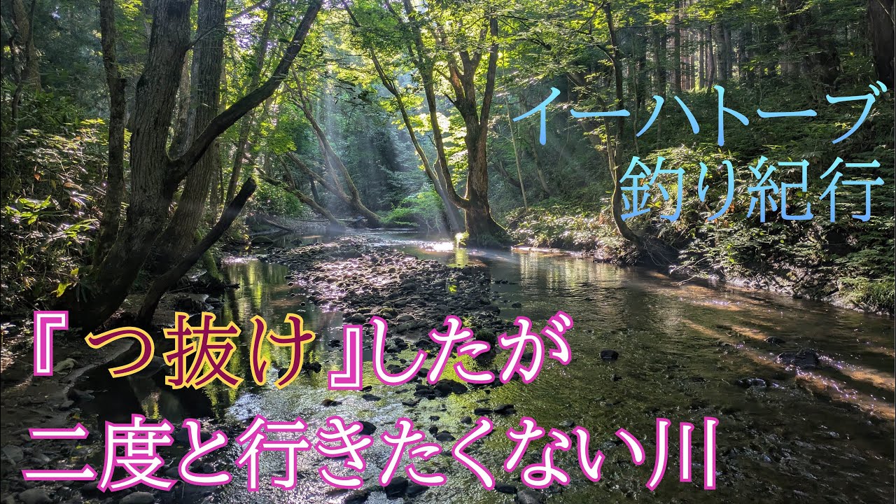珍しく”つ抜け”したけど二度と行きたくない川【フライフィッシング】今シーズン最大の爆釣【イーハトーブ】