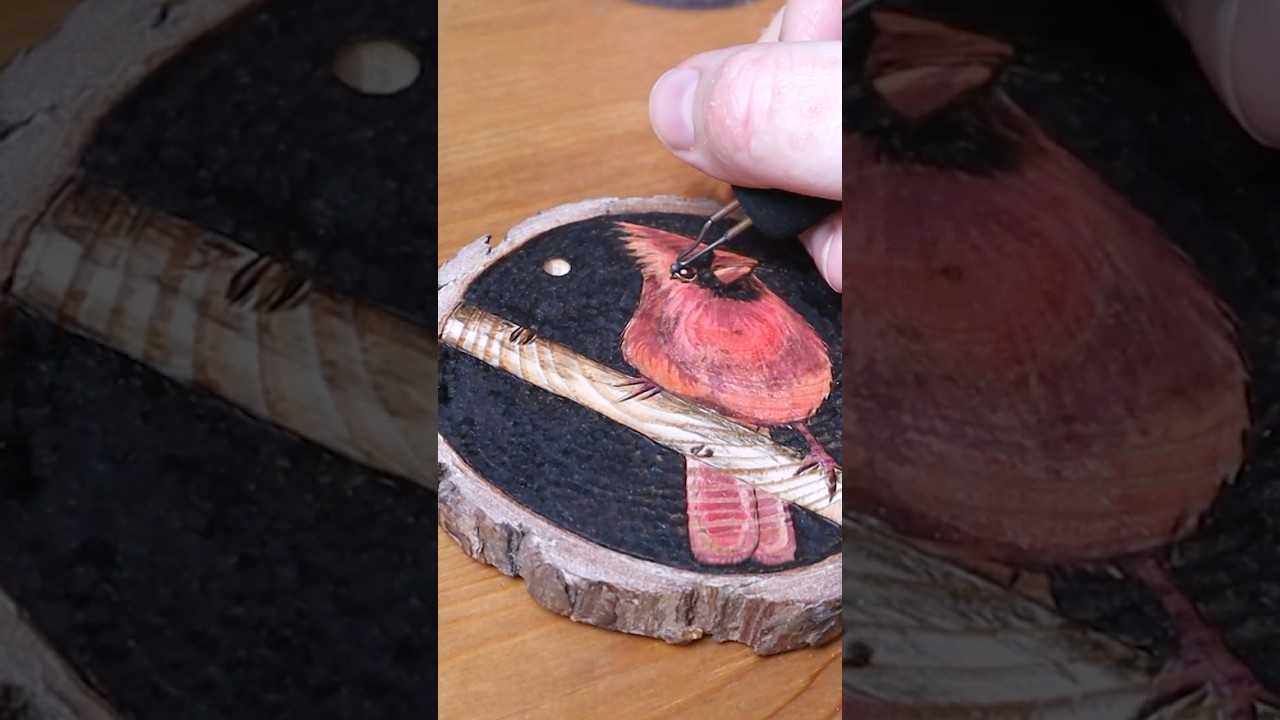 Cardinal Burning on Dollar Store Wood #woodburning #shorts
