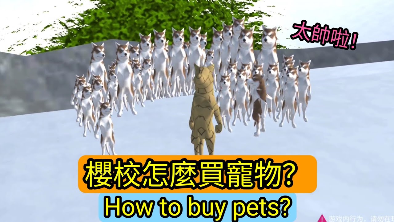 櫻花校園模擬器！櫻花校園怎麼買寵物？原來這麼難！sakuraschoolsimulator:How to buy pets?