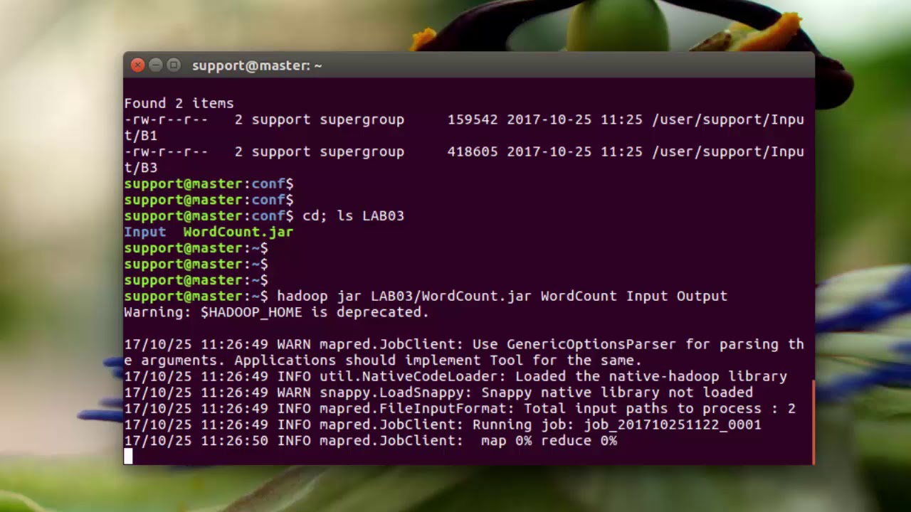 Hadoop 1.2.1 Cluster ~ Running a Test