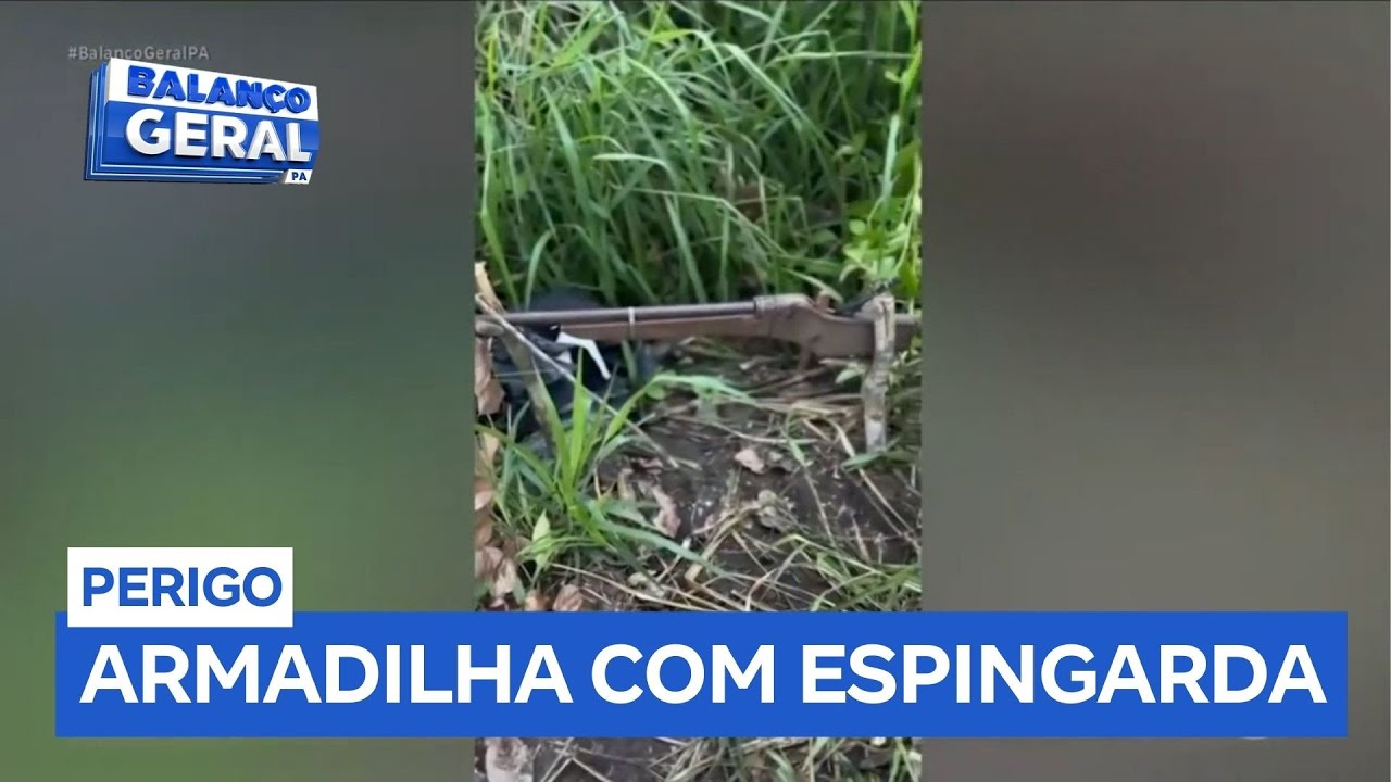 Agricultor é denunciado após instalar armadilha com espingarda em milharal
