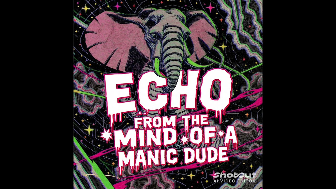 Echo from the mind of a Manic Dude 