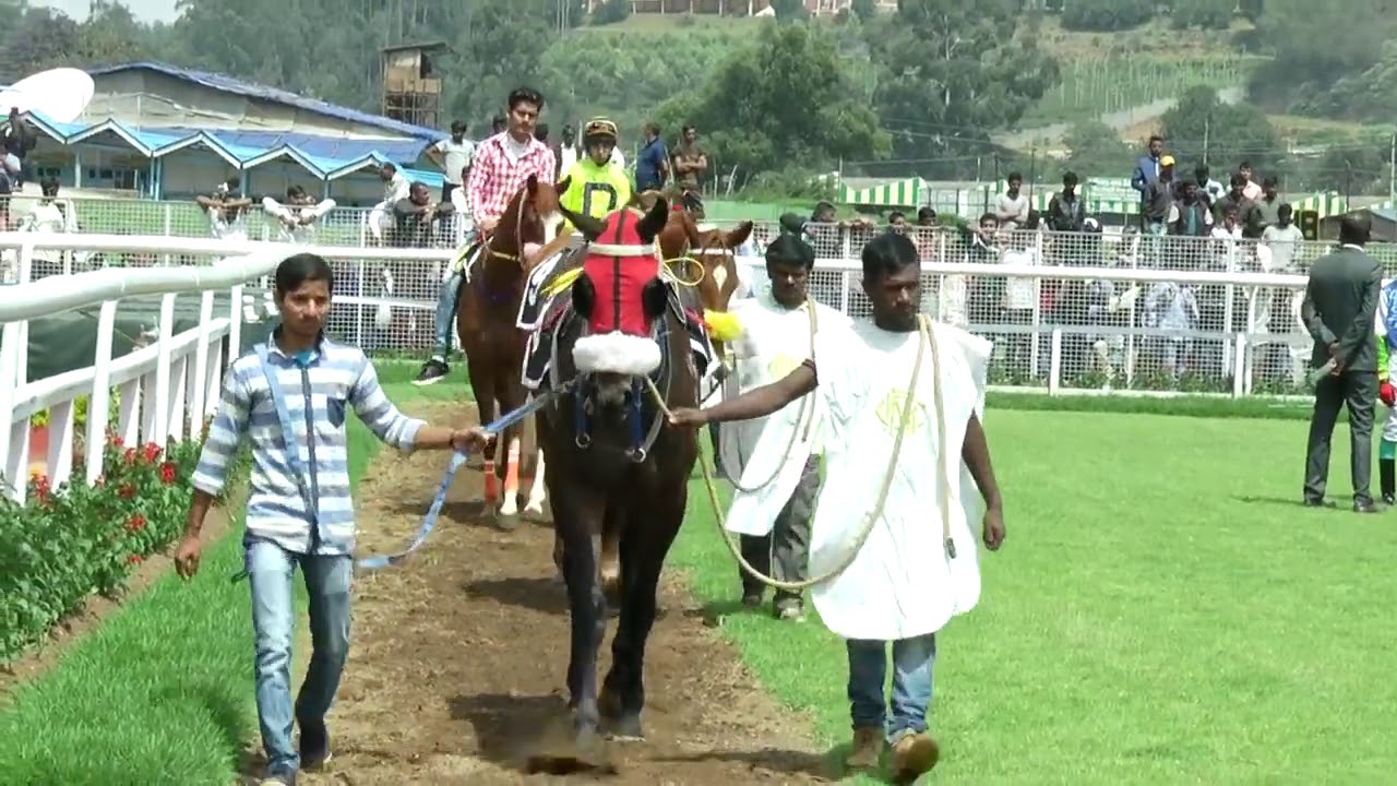 Horse Race - OOTY