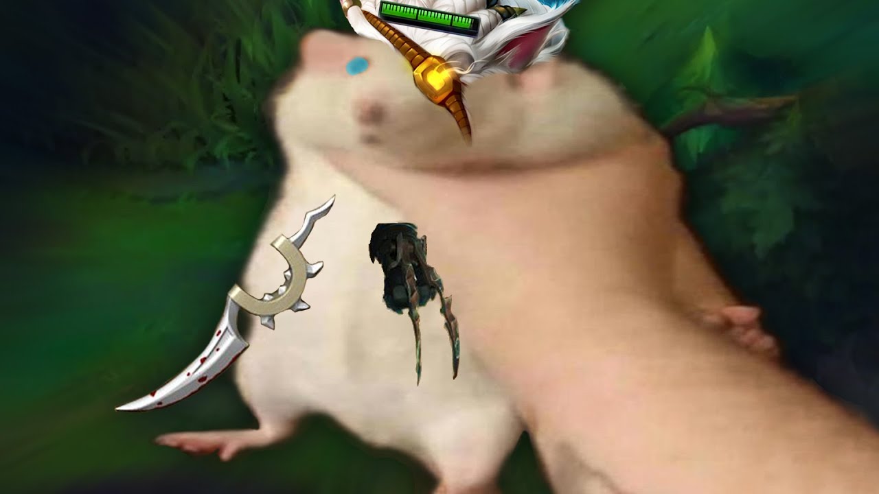 POV: YOU MAIN RENGAR