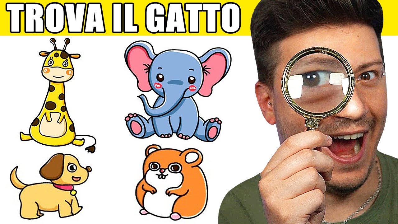 SEI IN GRADO DI SUPERARE QUESTO TEST? (99.7% impossibile)