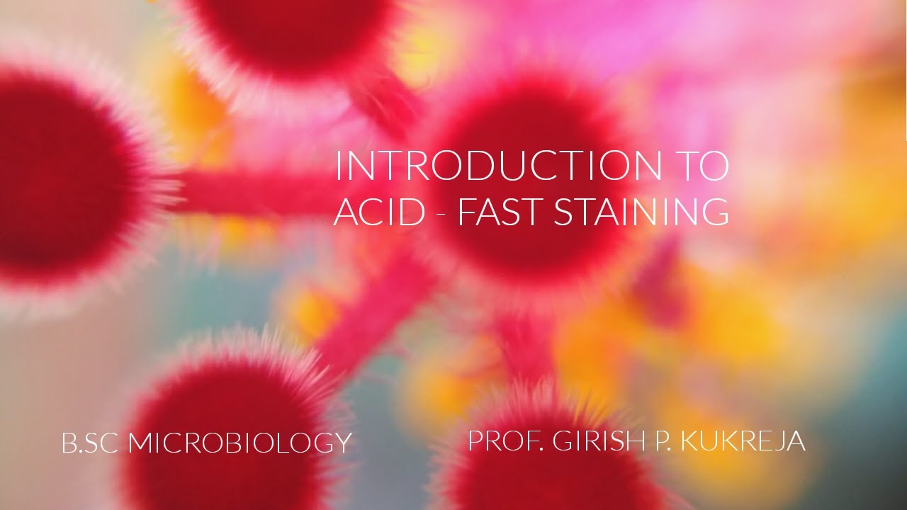 Acid Fast Staining- Question and Answers- Microbiology - Prof Kukreja Girish P - Ziehl Neelsen stain