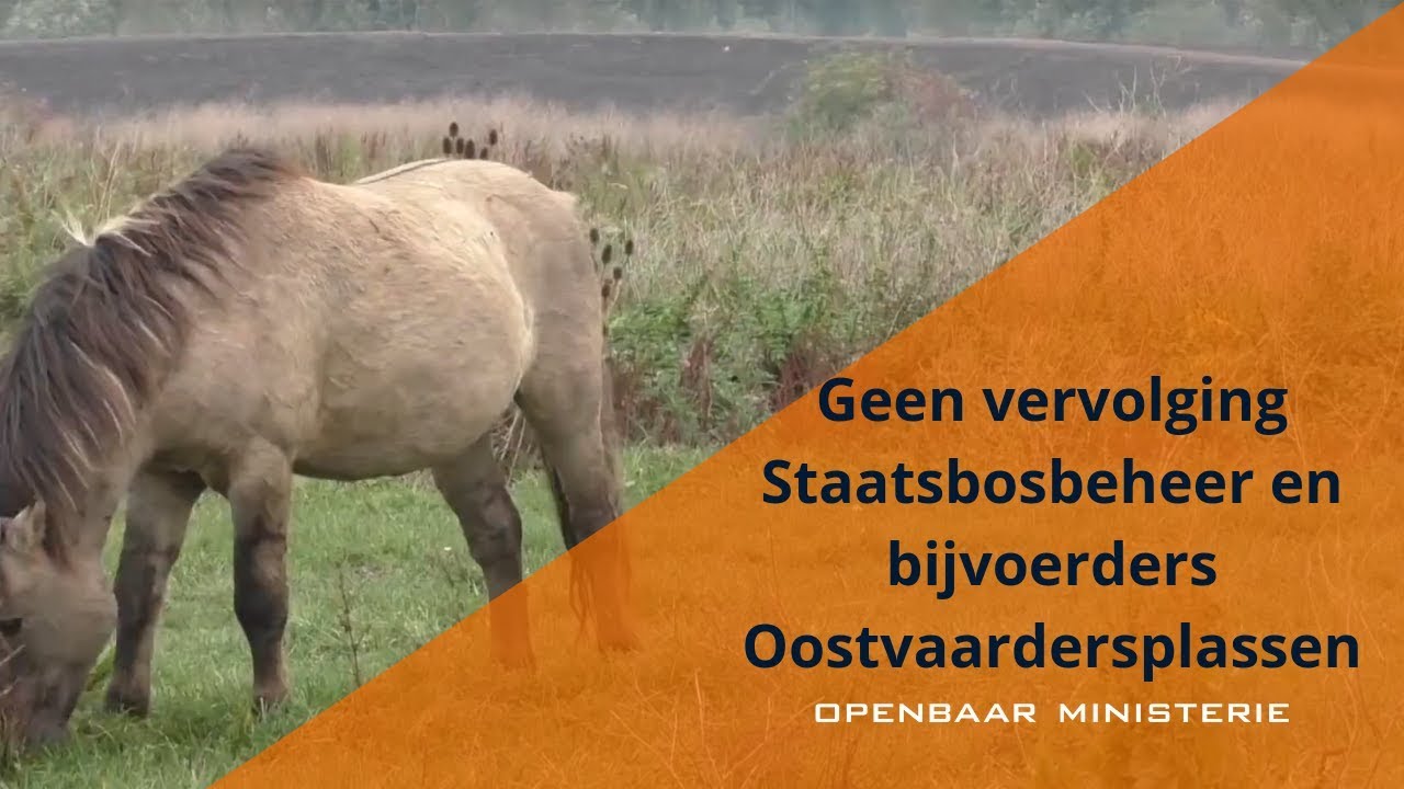 Geen vervolging Staatsbosbeheer en bijvoerders Oostvaardersplassen