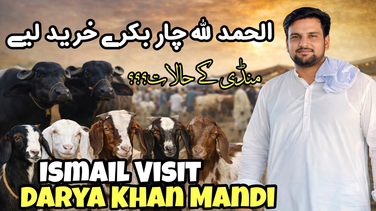 Ismail Jutt Visit Darya Khan Mandi