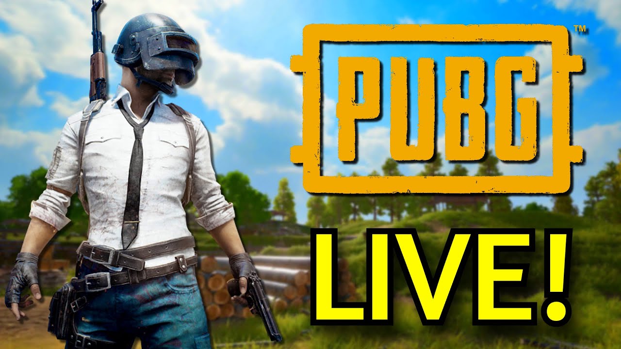 Testing My PUBG Skills - Will I Get That Chicken Dinner?