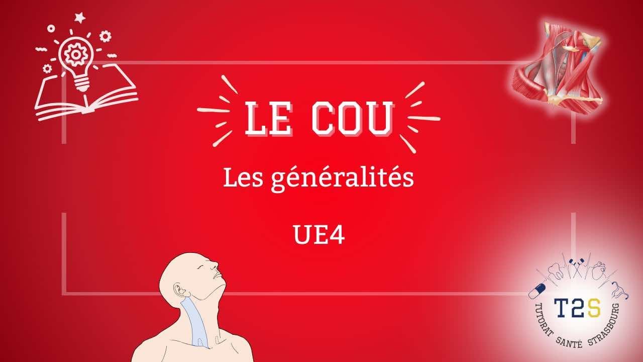 Anatomie générale de la tête et du cou