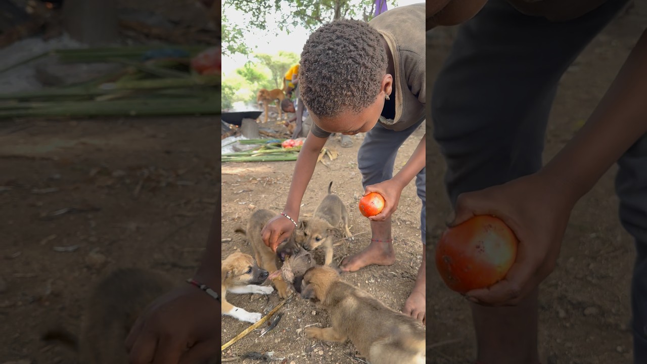 Happiest Puppies Sharing Lunch Happily #shorts #mrbeast #trending #viral #usa