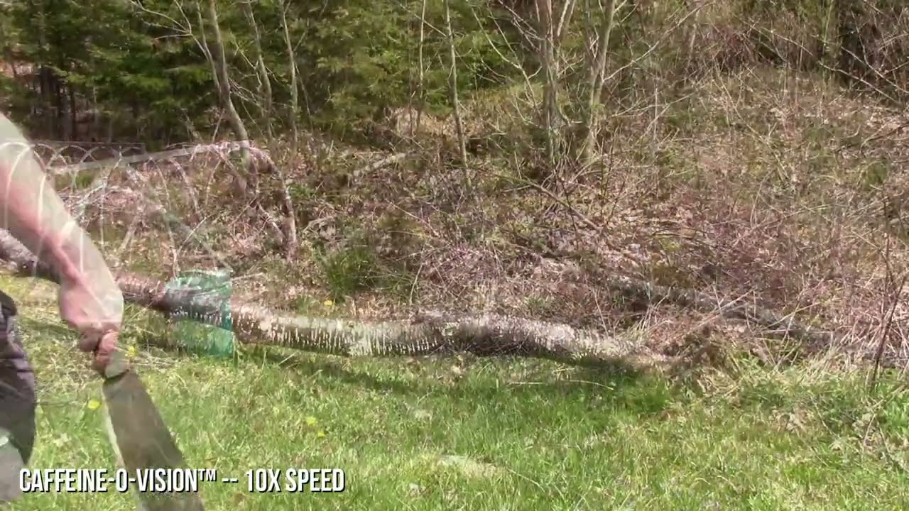 Chopping A Cherry Tree With The Baryonyx Machete