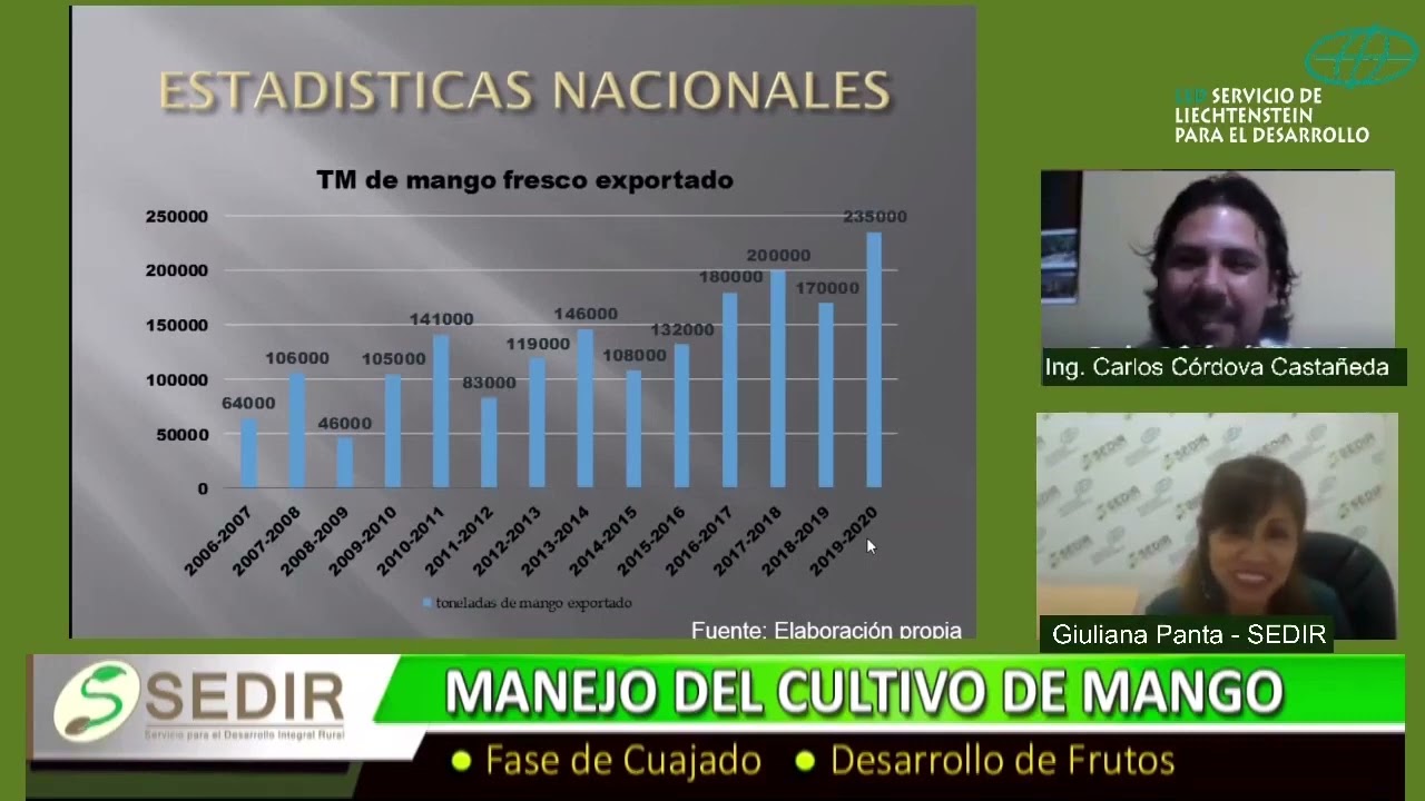 SEDIR: Manejo del cultivo del mango