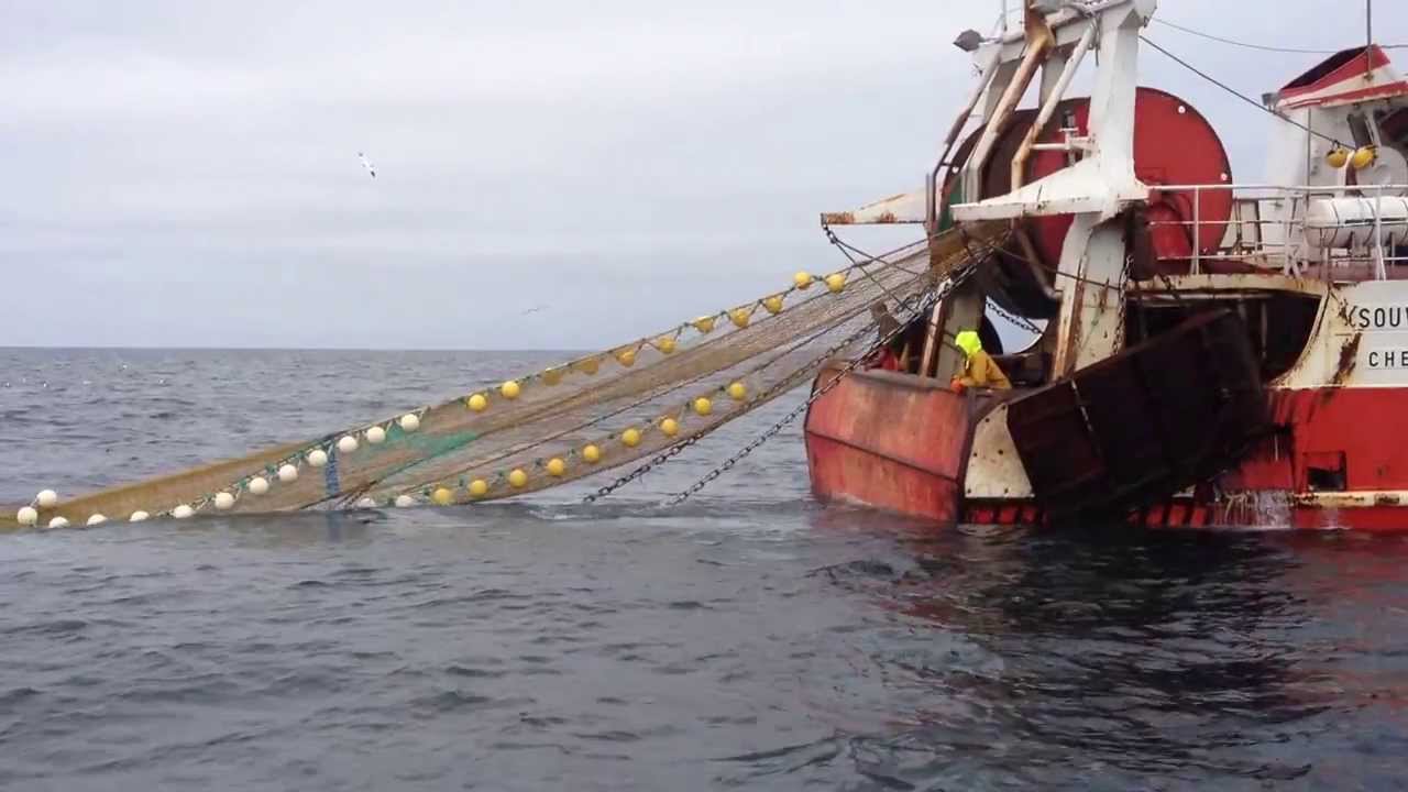 Souviens Toi CH 518388