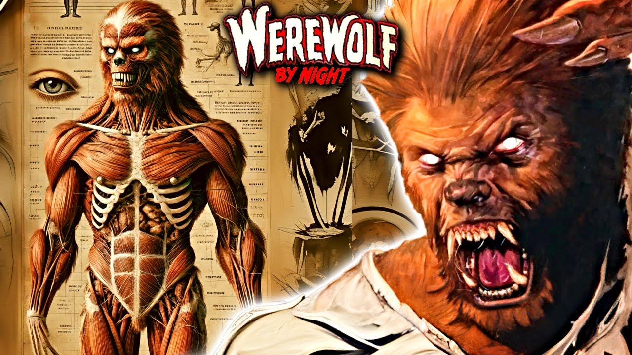Werewolf by Night Anatomy Explored - Is He Much More Powerful Than Normal Werewolves? & More!