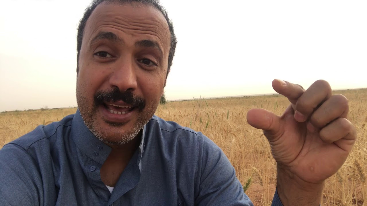 رحلة الخبز والصحة ( 3 ).