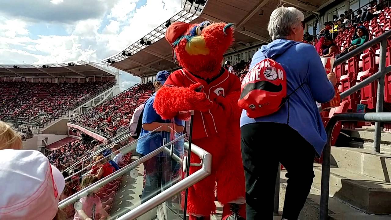 Charlie meets Gapper
