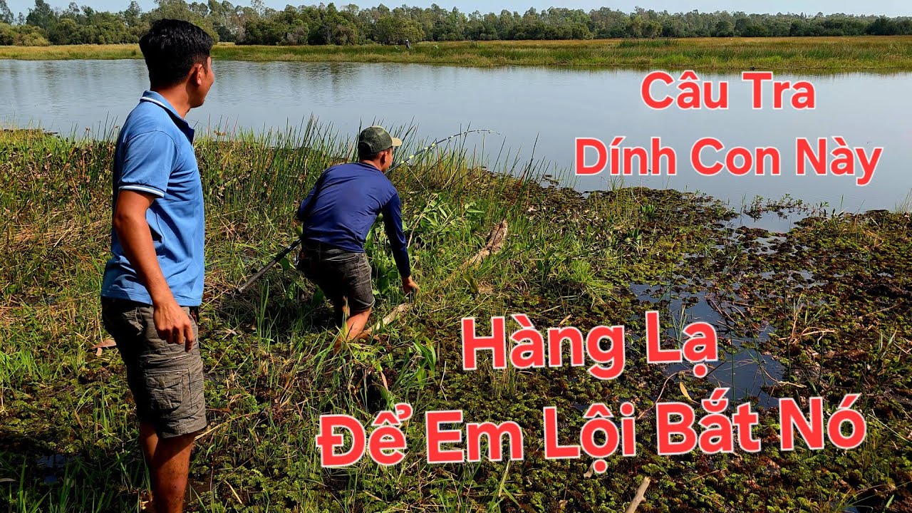 Hành Trình tìm điểm câu mới. Điểm đến 1 Tràm Chim | Săn bắt SÓC TRĂNG |
