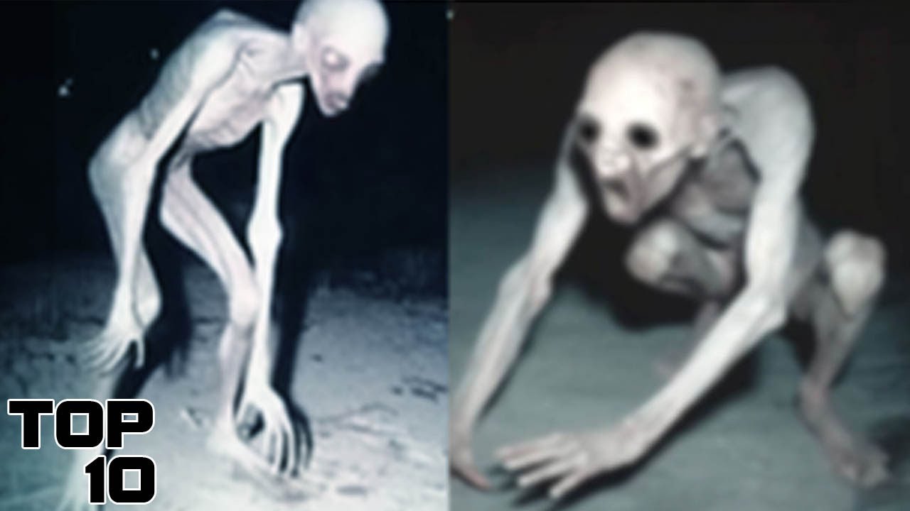 Top 10 Alien Human Hybrids The Government Tried To Conceal From You
