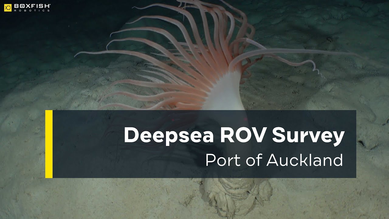 What Makes the 25 kg Boxfish ROV Perfect for Deepsea Surveys?